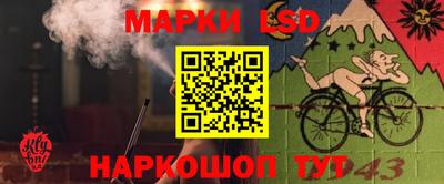 дурь Пугачёв