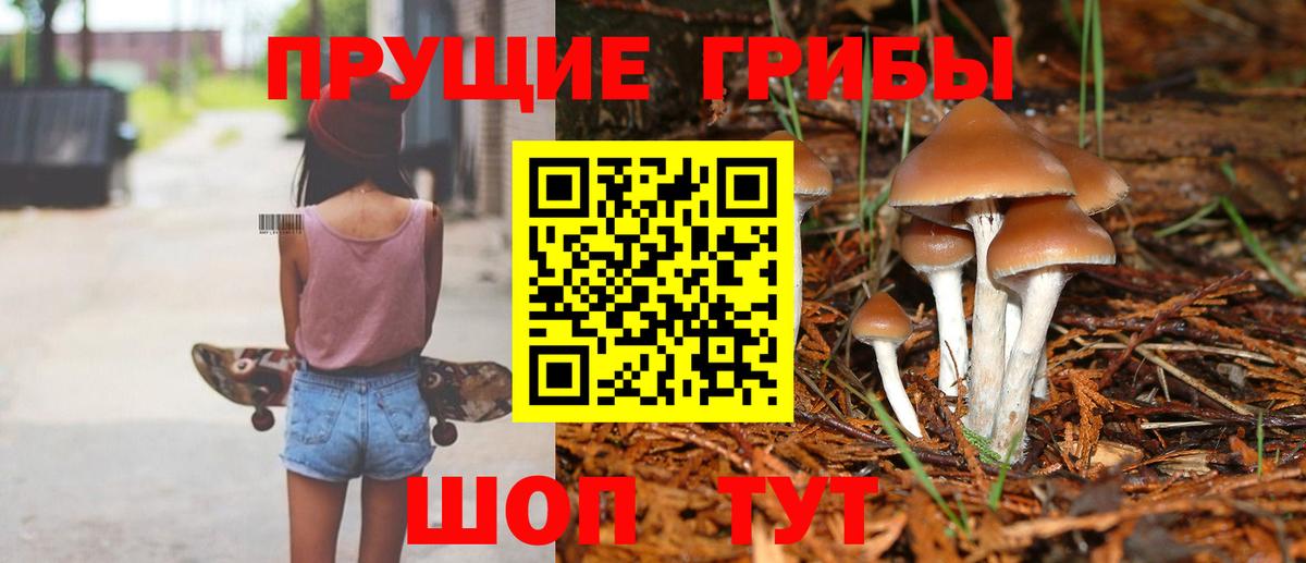 Галлюциногенные грибы мухоморы  Псилоцибиновые грибы мухоморы  как найти   Сафоново  Вход с VPN 